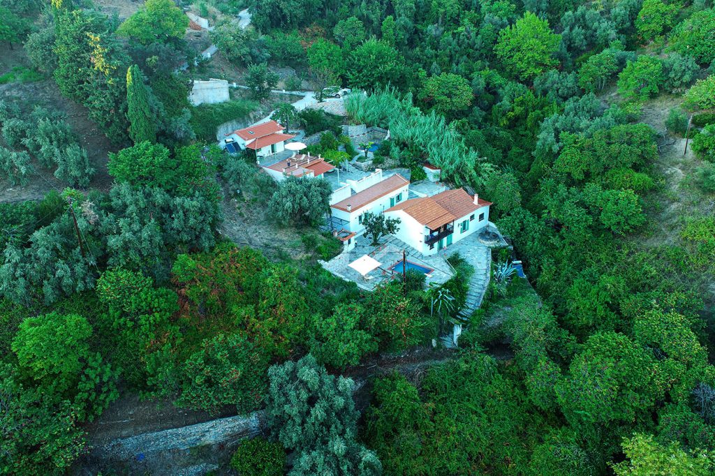 Olea Skopelos Island villas nature