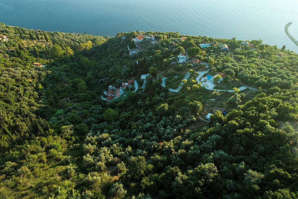 Olea Skopelos Island villas nature sea view